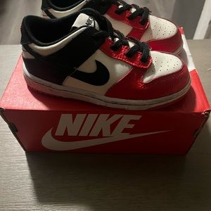 Jordan dunks barely worn